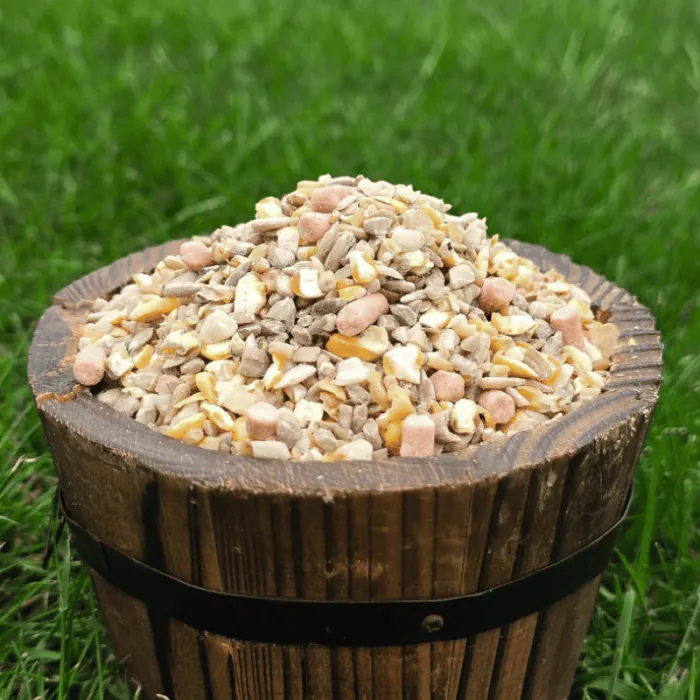 No grow bird seed mix filling small wooden bucket on the ground.