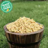 Mini Suet Pellets Insect and Mealworm - 0