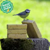 Suet Blocks Insect and Mealworm - 0